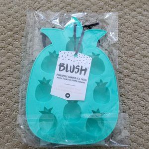 Blush Pineapple Shaped Ice Mold NWT